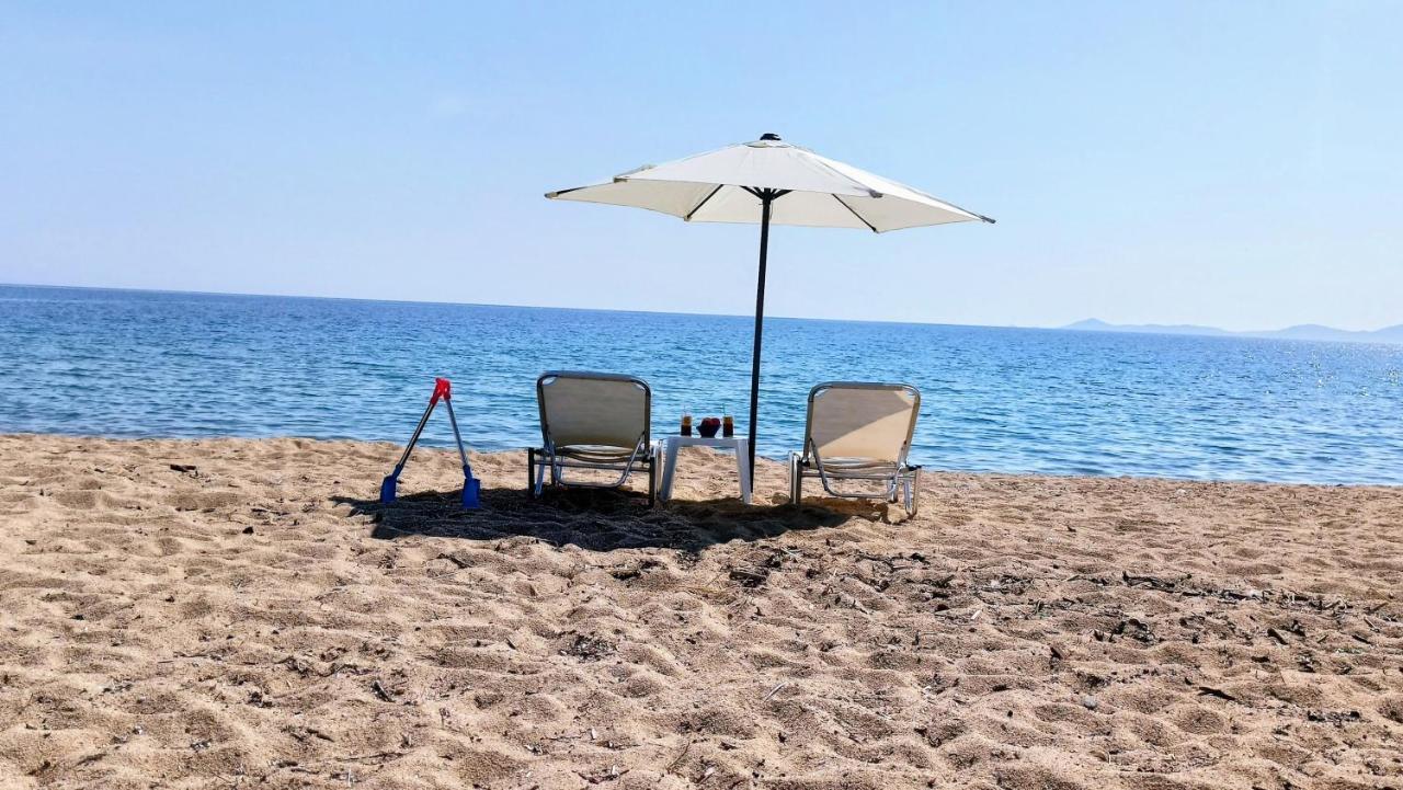 Xd Al Mare Ierissos Exterior foto